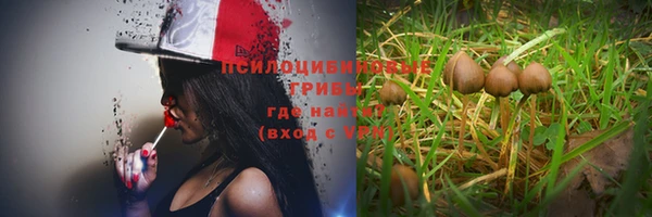 ALPHA PVP Арсеньев